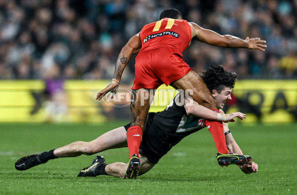 AFL 2025 Round 24 - Port Adelaide v Gold Coast - A-61655696