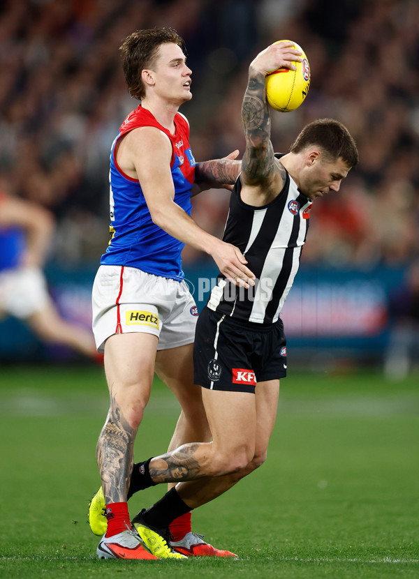 AFL 2025 Round 24 - Collingwood v Melbourne - A-61657960