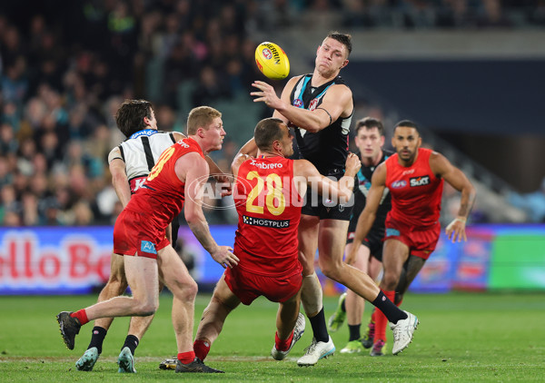 AFL 2025 Round 24 - Port Adelaide v Gold Coast - A-61660054