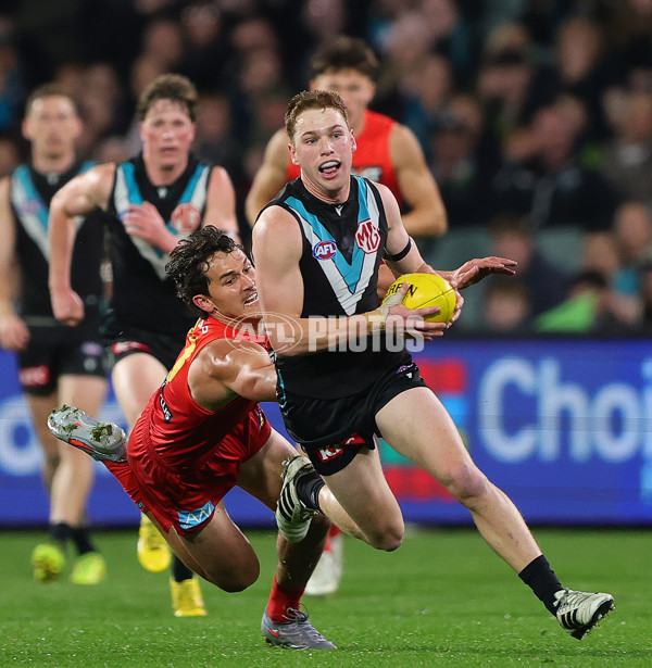 AFL 2025 Round 24 - Port Adelaide v Gold Coast - A-61660062