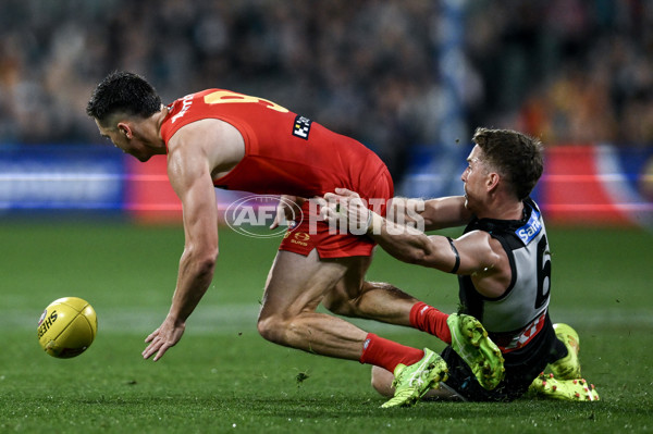 AFL 2025 Round 24 - Port Adelaide v Gold Coast - A-61660076