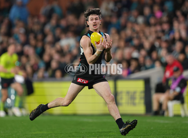 AFL 2025 Round 24 - Port Adelaide v Gold Coast - A-61660081