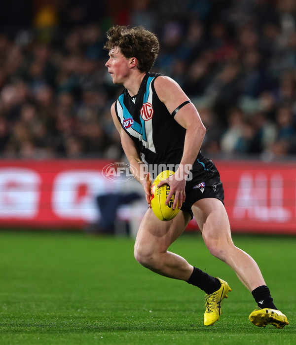 AFL 2025 Round 24 - Port Adelaide v Gold Coast - A-61662438