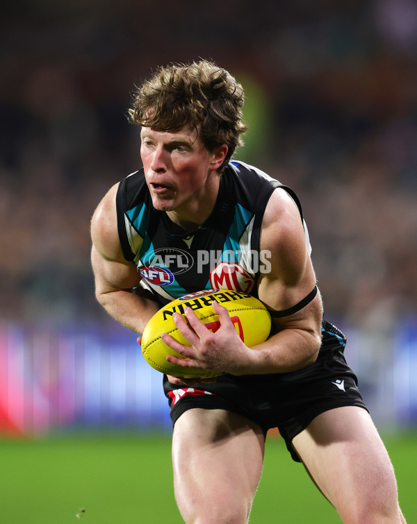 AFL 2025 Round 24 - Port Adelaide v Gold Coast - A-61662439