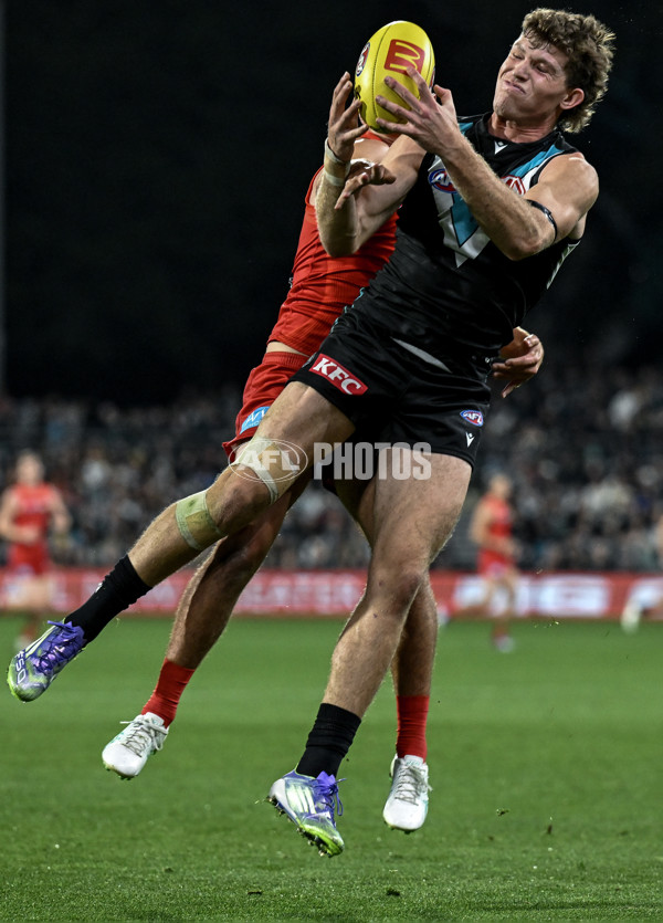 AFL 2025 Round 24 - Port Adelaide v Gold Coast - A-61662444