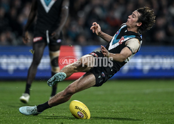 AFL 2025 Round 24 - Port Adelaide v Gold Coast - A-61662827