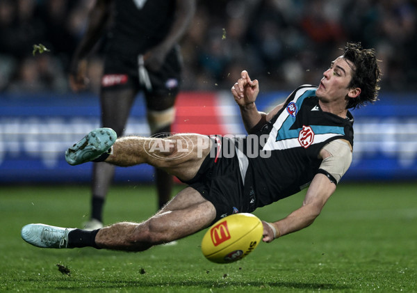 AFL 2025 Round 24 - Port Adelaide v Gold Coast - A-61662828