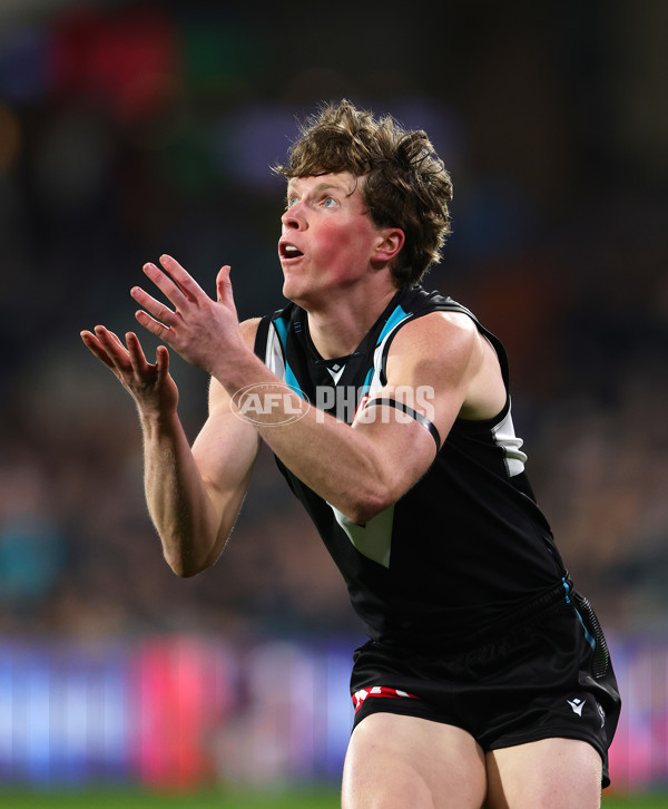 AFL 2025 Round 24 - Port Adelaide v Gold Coast - A-61662837