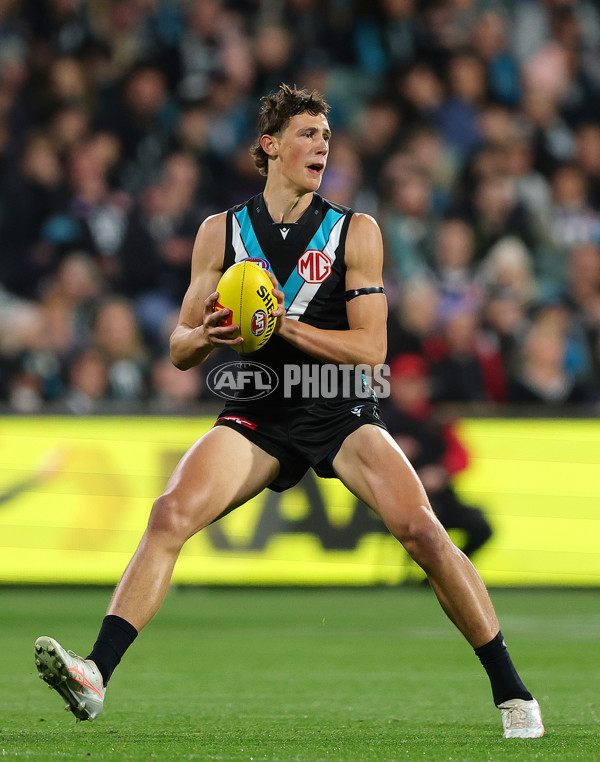 AFL 2025 Round 24 - Port Adelaide v Gold Coast - A-61662846