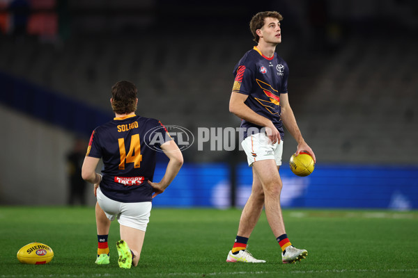 AFL 2025 Round 24 - North Melbourne v Adelaide - A-61662906