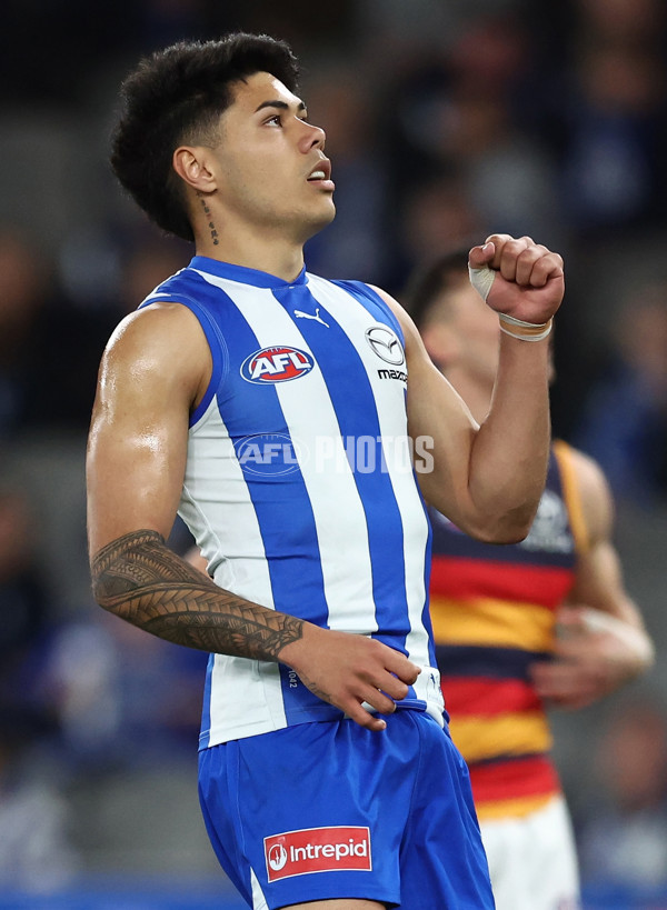 AFL 2025 Round 24 - North Melbourne v Adelaide - A-61665618