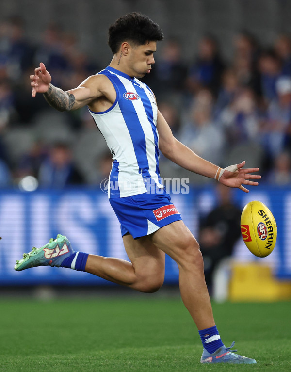 AFL 2025 Round 24 - North Melbourne v Adelaide - A-61665619