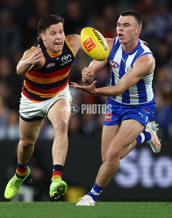 AFL 2025 Round 24 - North Melbourne v Adelaide - A-61665639