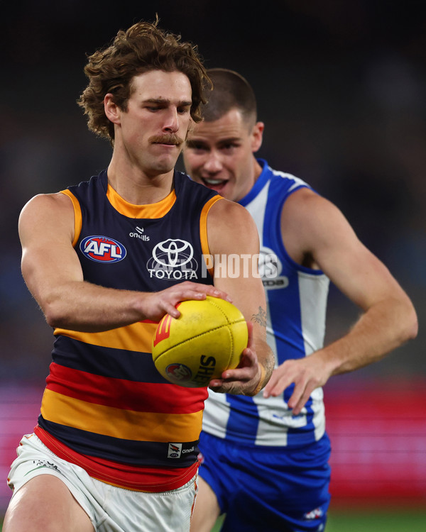 AFL 2025 Round 24 - North Melbourne v Adelaide - A-61665643