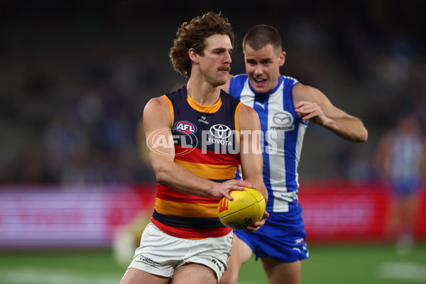 AFL 2025 Round 24 - North Melbourne v Adelaide - A-61665648