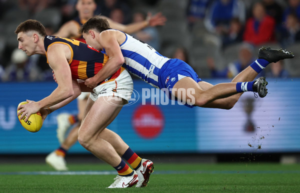 AFL 2025 Round 24 - North Melbourne v Adelaide - A-61667890