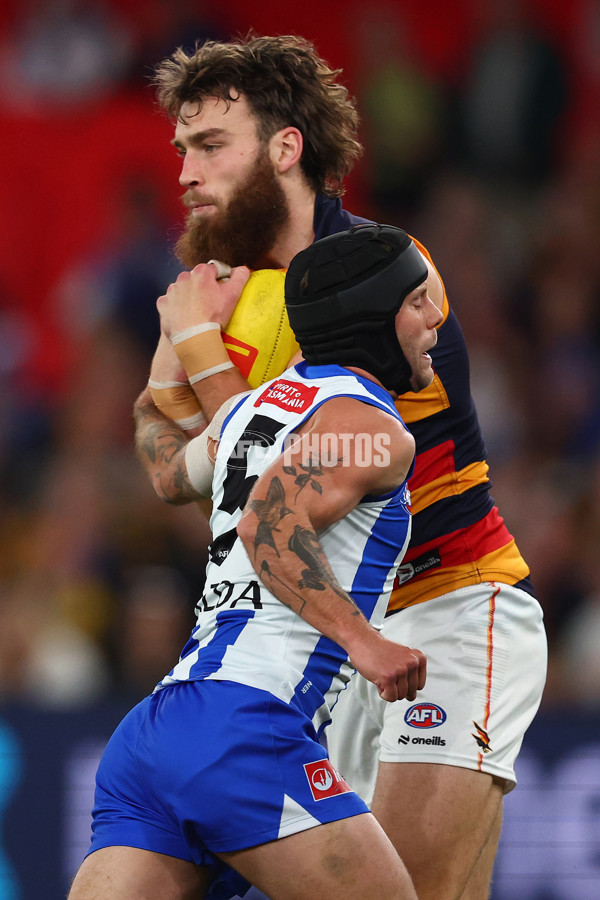 AFL 2025 Round 24 - North Melbourne v Adelaide - A-61667891
