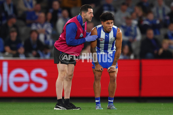 AFL 2025 Round 24 - North Melbourne v Adelaide - A-61667892