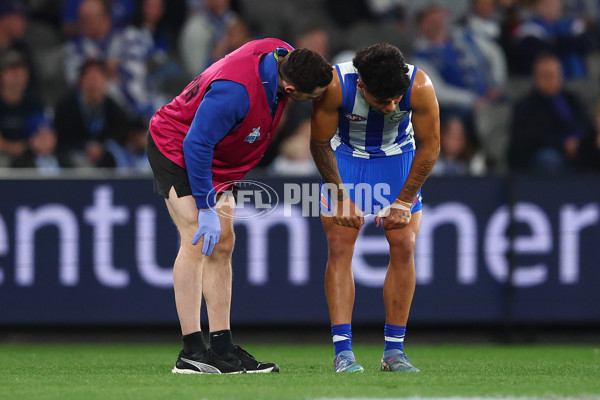 AFL 2025 Round 24 - North Melbourne v Adelaide - A-61667893