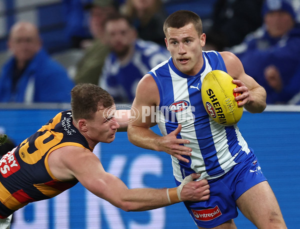 AFL 2025 Round 24 - North Melbourne v Adelaide - A-61667924