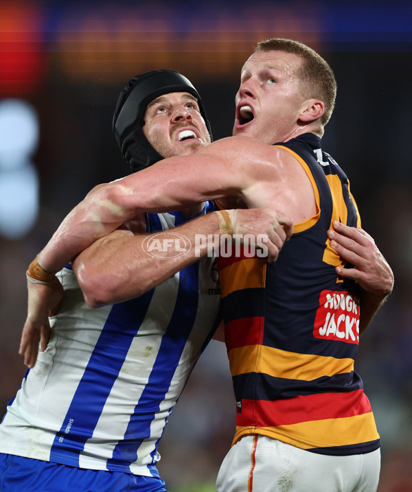 AFL 2025 Round 24 - North Melbourne v Adelaide - A-61667945