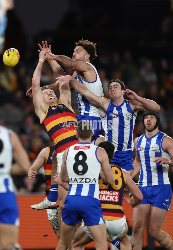 AFL 2025 Round 24 - North Melbourne v Adelaide - A-61668682