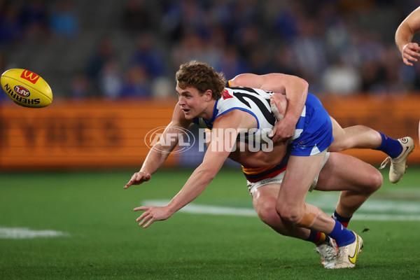 AFL 2025 Round 24 - North Melbourne v Adelaide - A-61668687