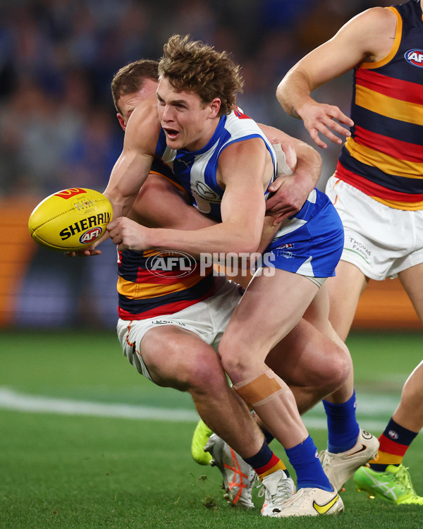 AFL 2025 Round 24 - North Melbourne v Adelaide - A-61668688