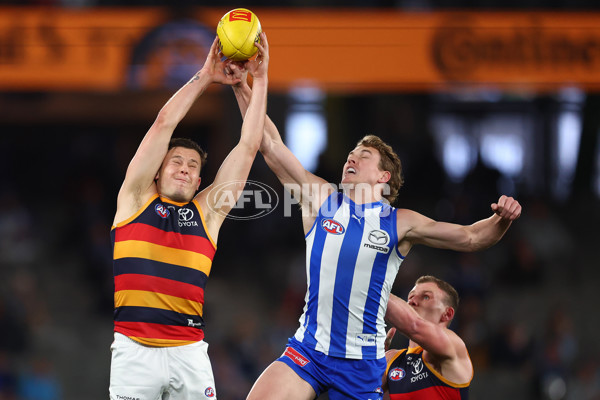 AFL 2025 Round 24 - North Melbourne v Adelaide - A-61668690