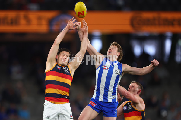 AFL 2025 Round 24 - North Melbourne v Adelaide - A-61668691
