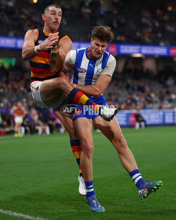 AFL 2025 Round 24 - North Melbourne v Adelaide - A-61668712