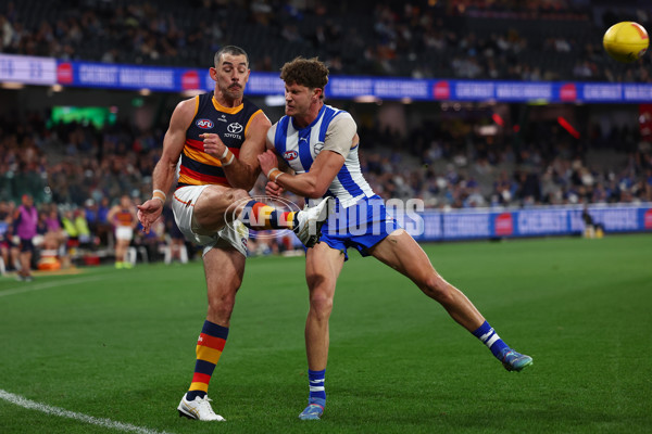 AFL 2025 Round 24 - North Melbourne v Adelaide - A-61668713