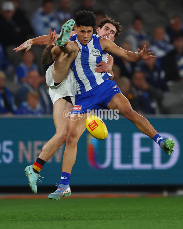 AFL 2025 Round 24 - North Melbourne v Adelaide - A-61668756