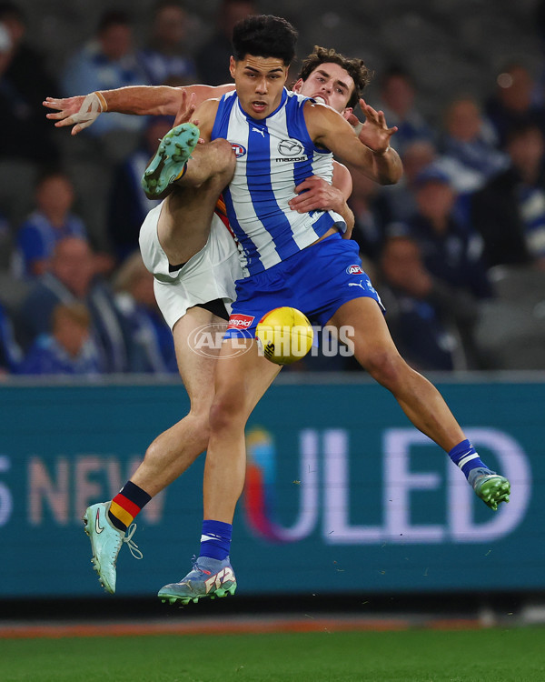 AFL 2025 Round 24 - North Melbourne v Adelaide - A-61668758