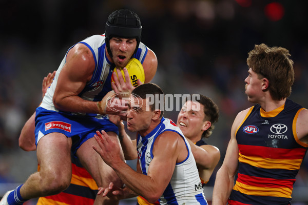 AFL 2025 Round 24 - North Melbourne v Adelaide - A-61668763