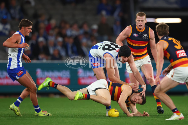 AFL 2025 Round 24 - North Melbourne v Adelaide - A-61668779