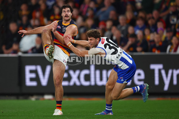 AFL 2025 Round 24 - North Melbourne v Adelaide - A-61670705