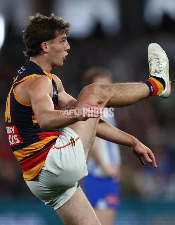 AFL 2025 Round 24 - North Melbourne v Adelaide - A-61670730