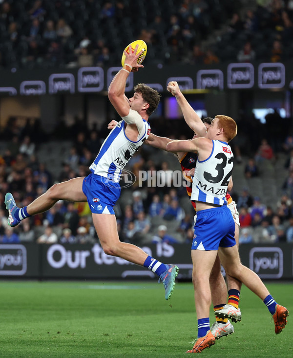 AFL 2025 Round 24 - North Melbourne v Adelaide - A-61670734
