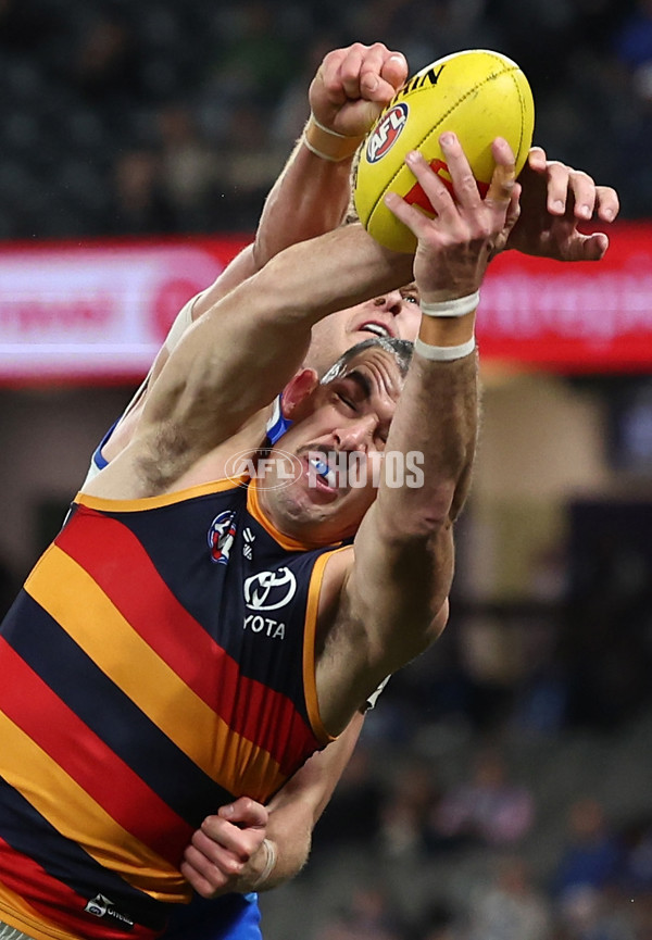 AFL 2025 Round 24 - North Melbourne v Adelaide - A-61670749