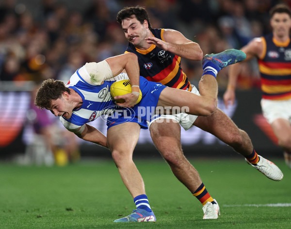 AFL 2025 Round 24 - North Melbourne v Adelaide - A-61670764