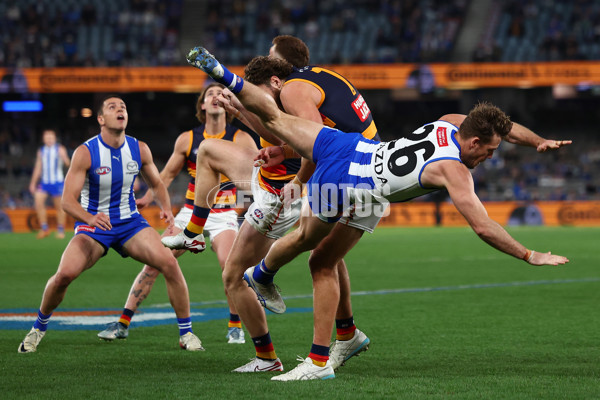 AFL 2025 Round 24 - North Melbourne v Adelaide - A-61670772