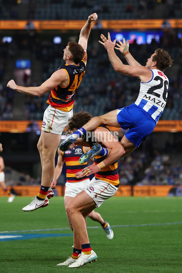 AFL 2025 Round 24 - North Melbourne v Adelaide - A-61670773