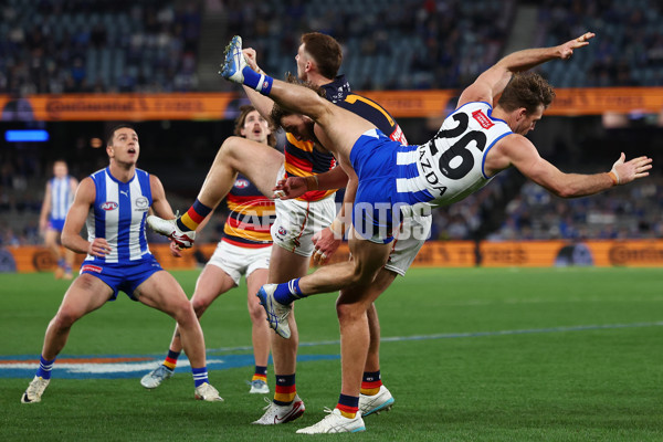 AFL 2025 Round 24 - North Melbourne v Adelaide - A-61670774