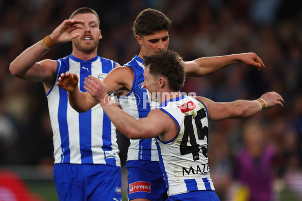 AFL 2025 Round 24 - North Melbourne v Adelaide - A-61670793