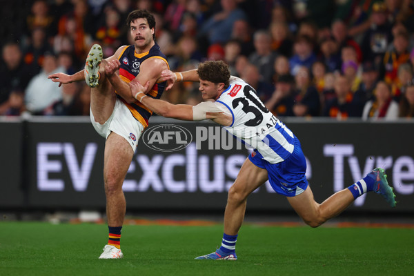 AFL 2025 Round 24 - North Melbourne v Adelaide - A-61671007
