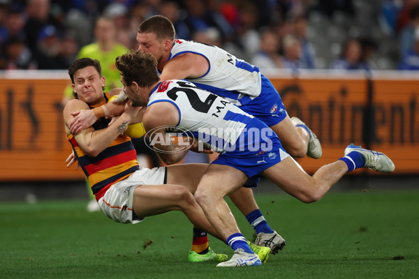 AFL 2025 Round 24 - North Melbourne v Adelaide - A-61671085