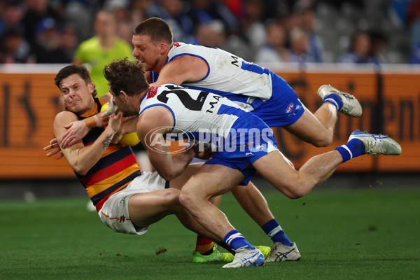 AFL 2025 Round 24 - North Melbourne v Adelaide - A-61671086