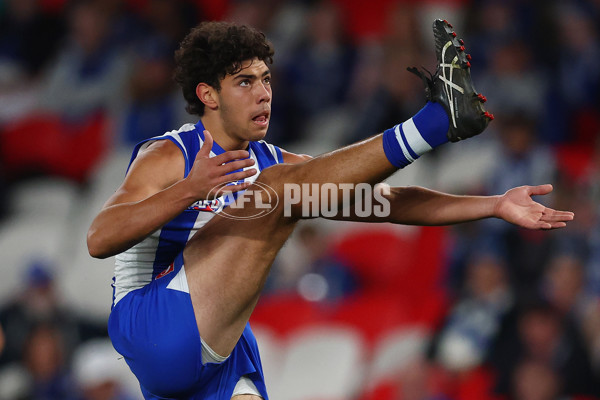 AFL 2025 Round 24 - North Melbourne v Adelaide - A-61671087