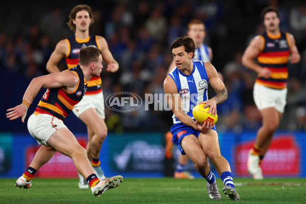 AFL 2025 Round 24 - North Melbourne v Adelaide - A-61671090